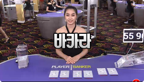 스카이파크