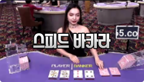 스카이파크